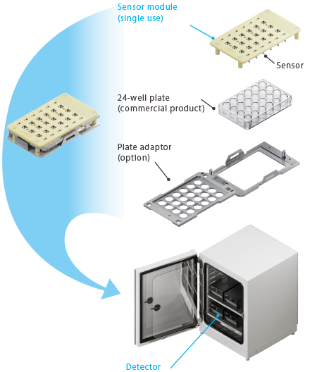 Real-Time Cell Metabolism Measurement