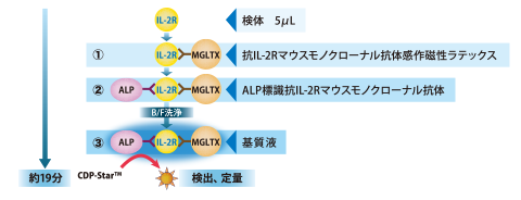 測定原理