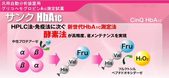 汎用自動分析装置用 グリコヘモグロビンA1c測定試薬 サンクHbA1c